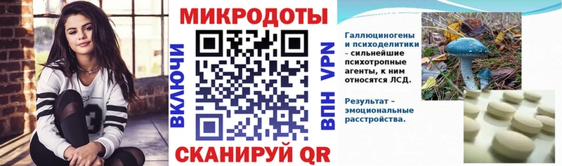 Галлюциногенные грибы Psilocybine cubensis  Ставрополь 