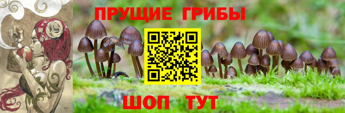 Галлюциногенные грибы Magic Shrooms  Ставрополь  Псилоцибиновые грибы Cubensis 