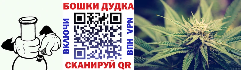 Конопля OG Kush  Ставрополь 