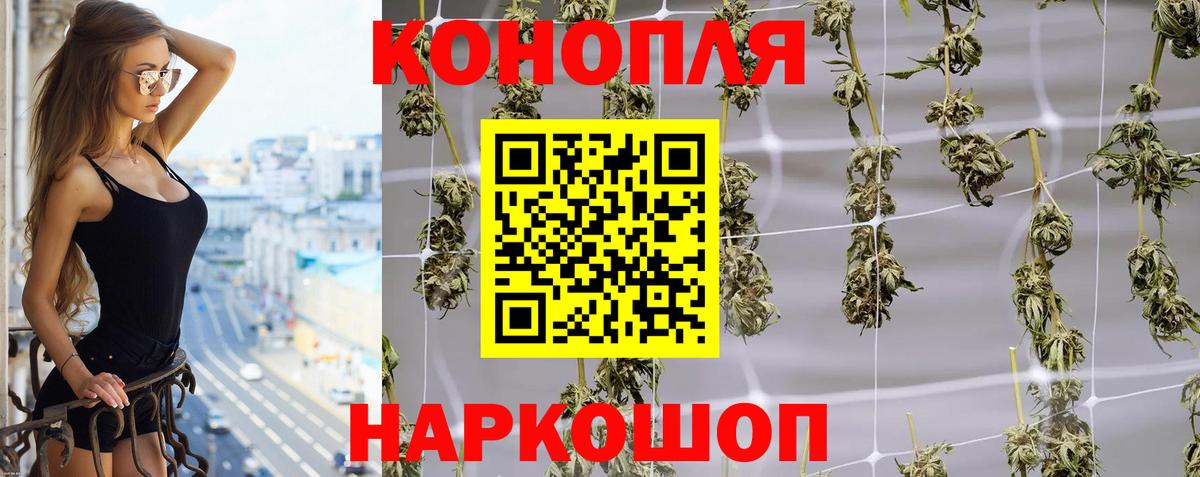 Канабис ГИДРОПОН  Бошки марихуана тримм  Ставрополь 