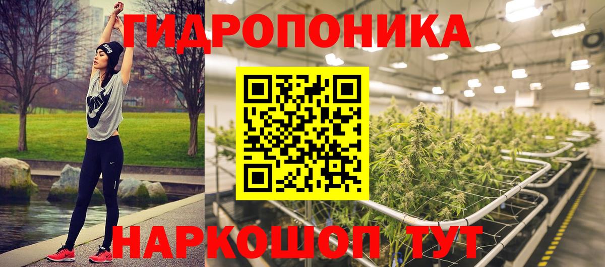 Бошки Шишки сатива Ставрополь